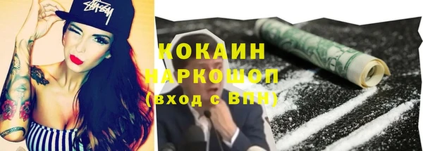 гидра Белокуриха