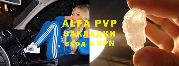 гидра Белокуриха